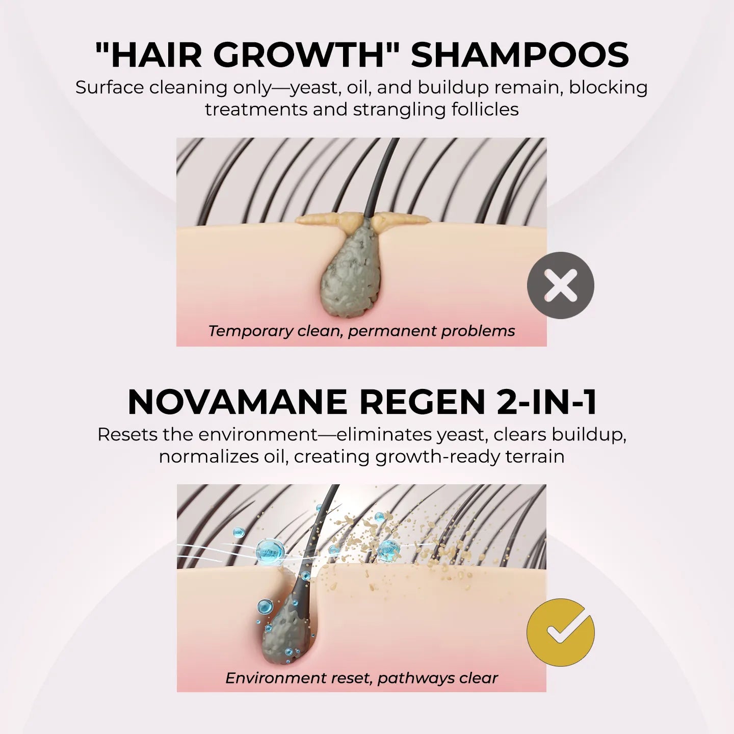 Regen 2-in-1 Shampoo & Conditioner (Men)