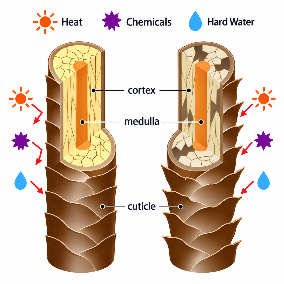 Heat and Bleach Damages Hair But So Does Hard Water