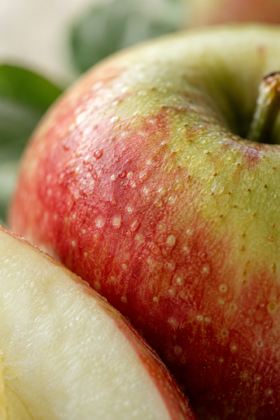 Procyanidin B-2 (Apple Polyphenols)